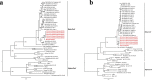 Extended Data Fig. 2