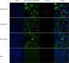 Extended Data Fig. 7