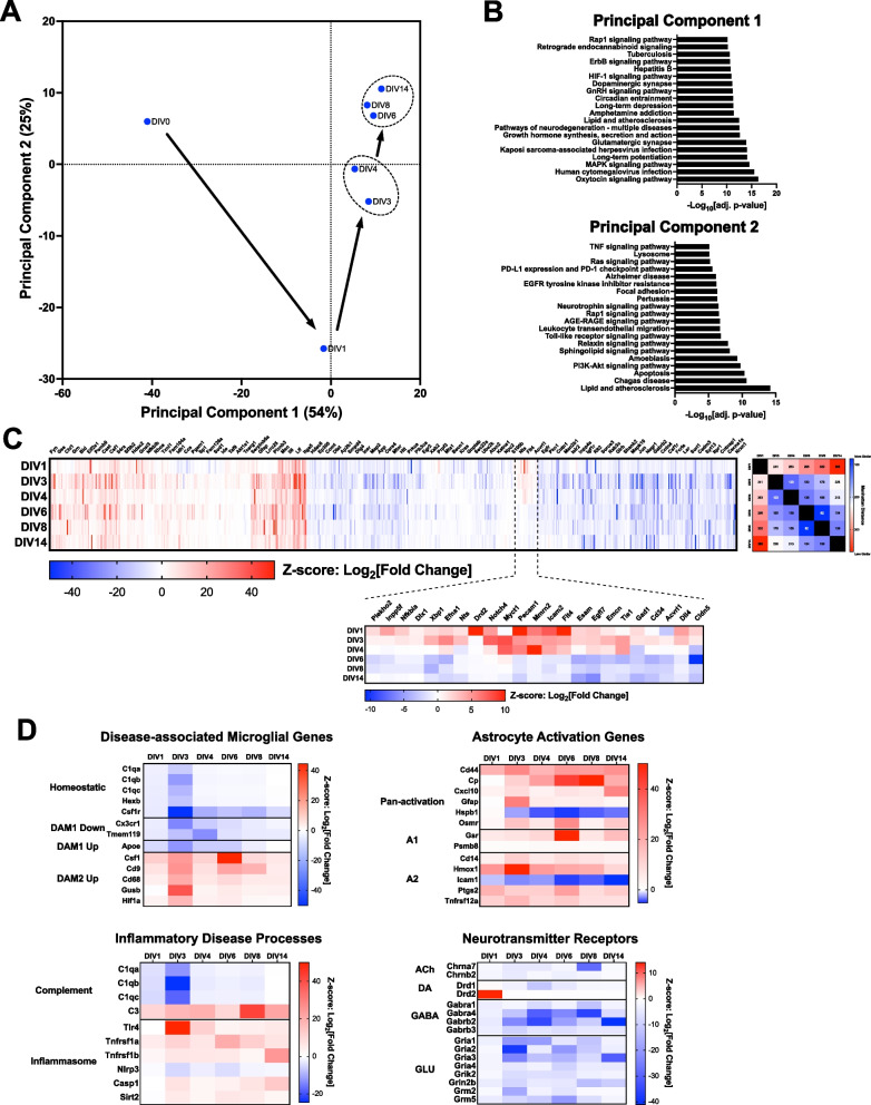 Preclinical translational platform of neuroinflammatory disease biology ...