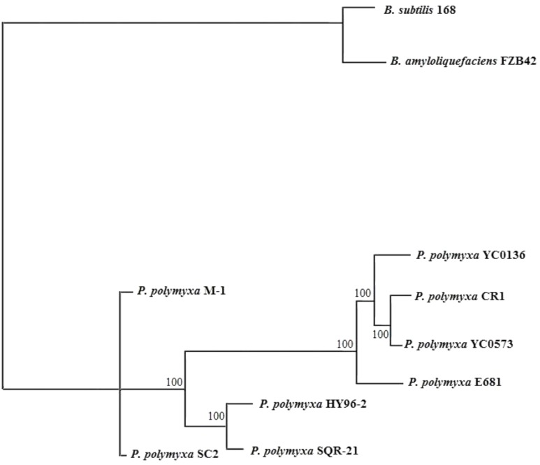 FIGURE 3