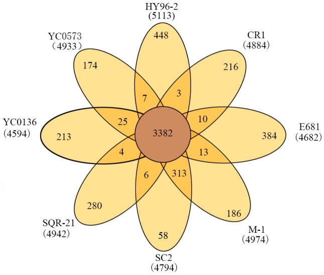 FIGURE 4