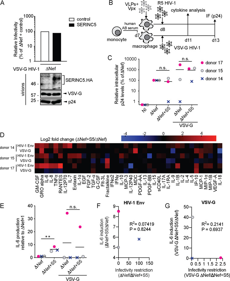 FIG 6