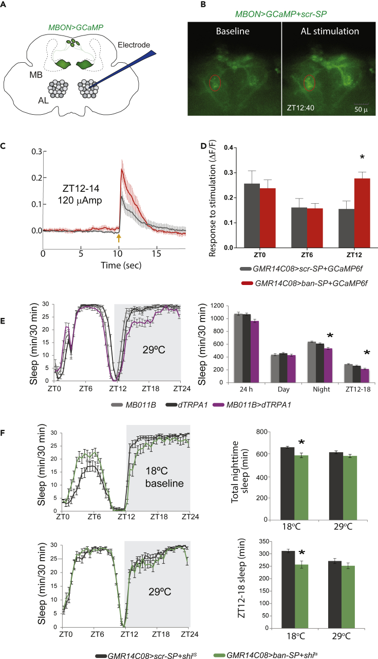 Figure 3