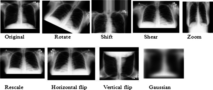 Fig. 8