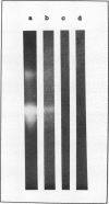 1313