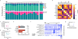 Extended Data Fig. 5