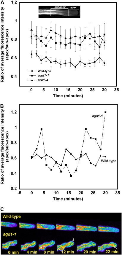 Figure 5.