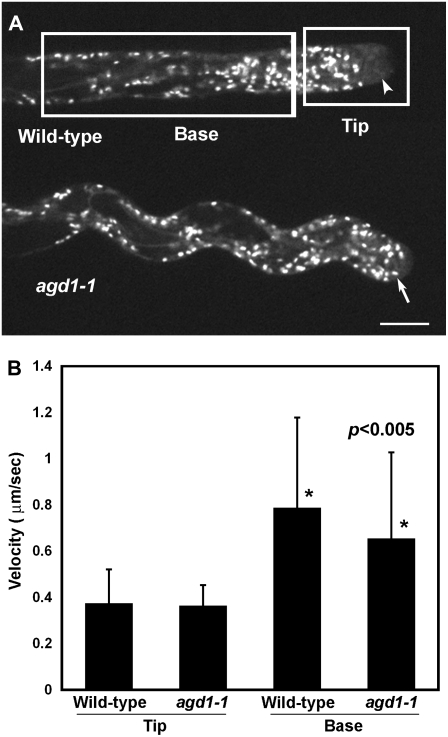 Figure 6.