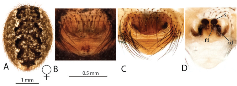 Figure 15.