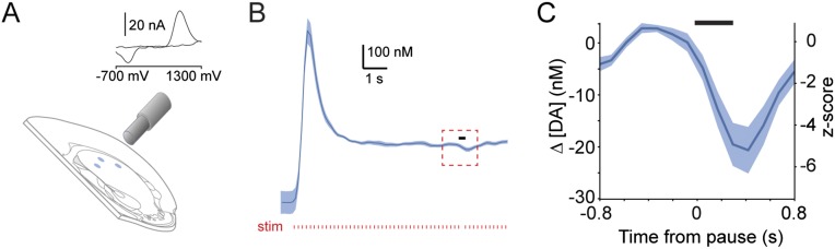 Fig. S4.