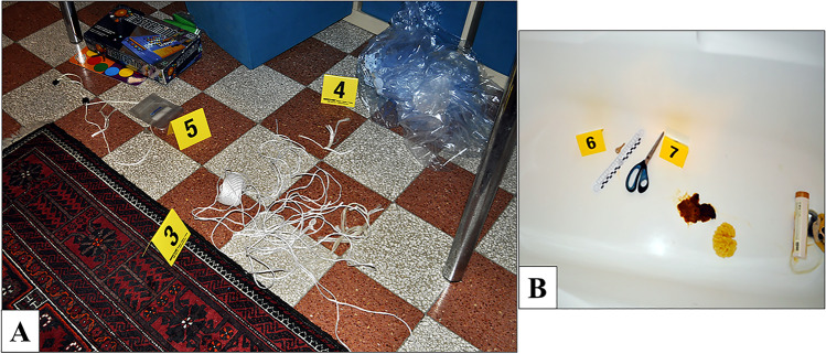 Fig. 3