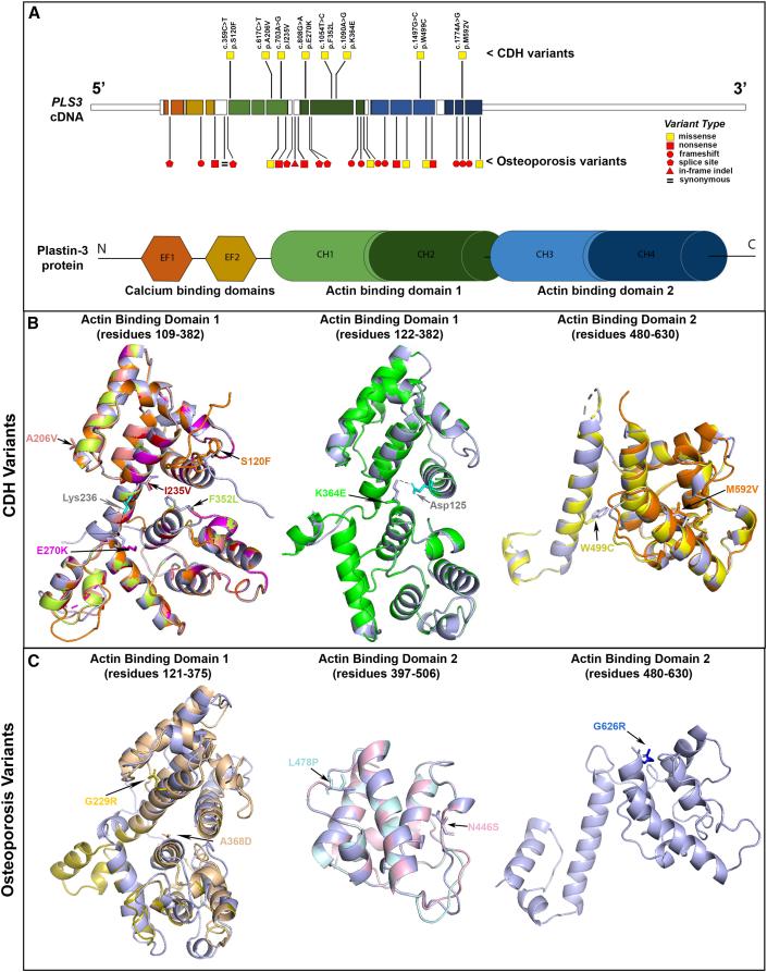 Figure 3