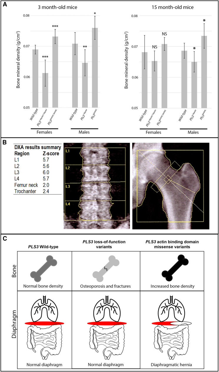 Figure 5