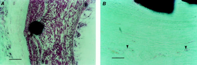 Figure 2  