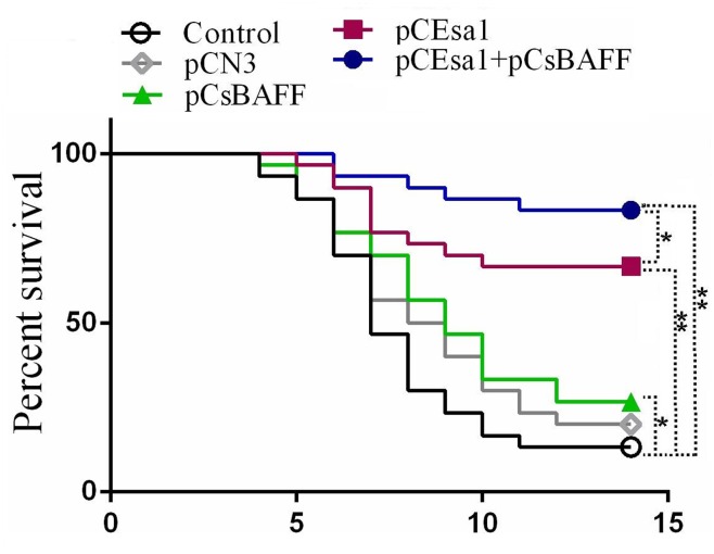 Fig 9