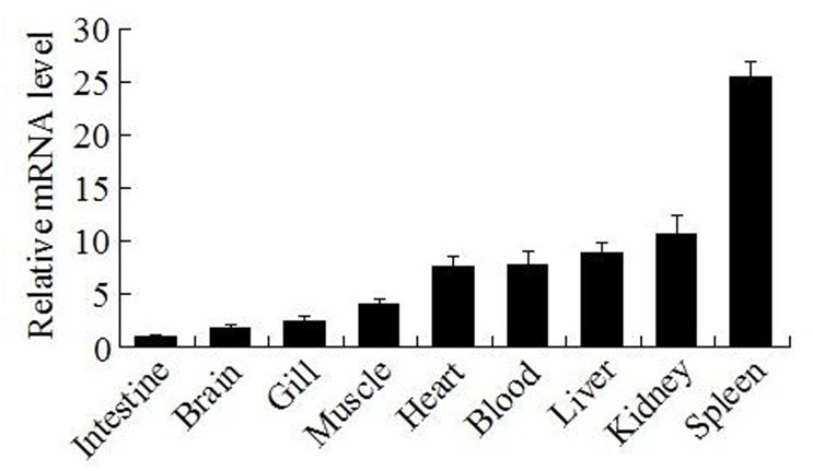 Fig 2