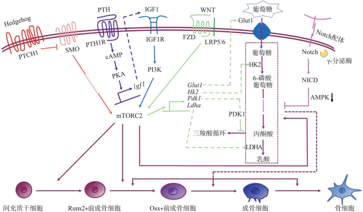 图 2