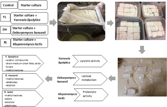 graphic file with name 13197_2023_5791_Figa_HTML.jpg