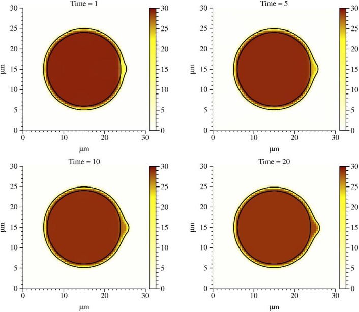 Fig. 4