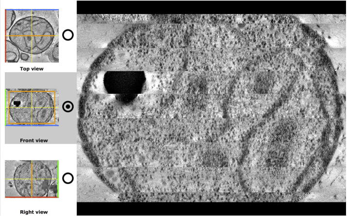 Fig. 1b