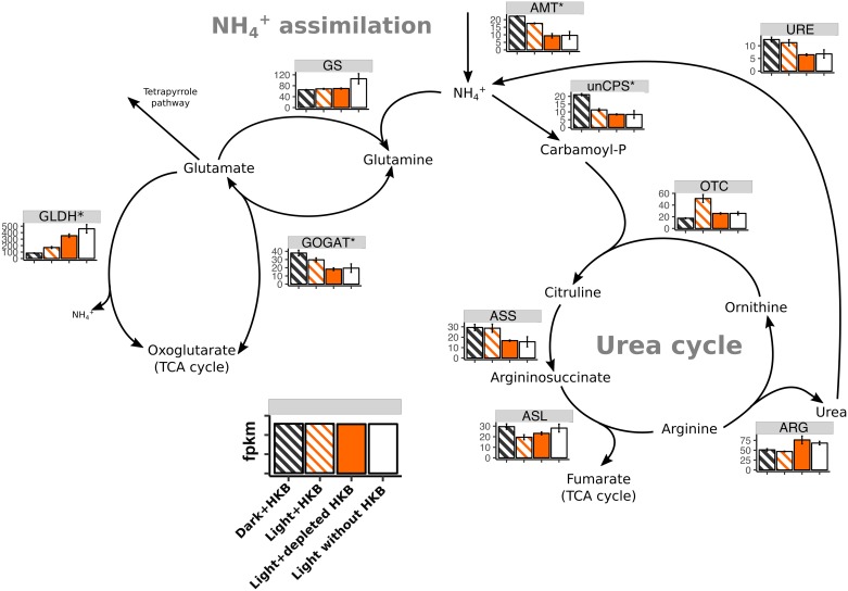 Fig 6