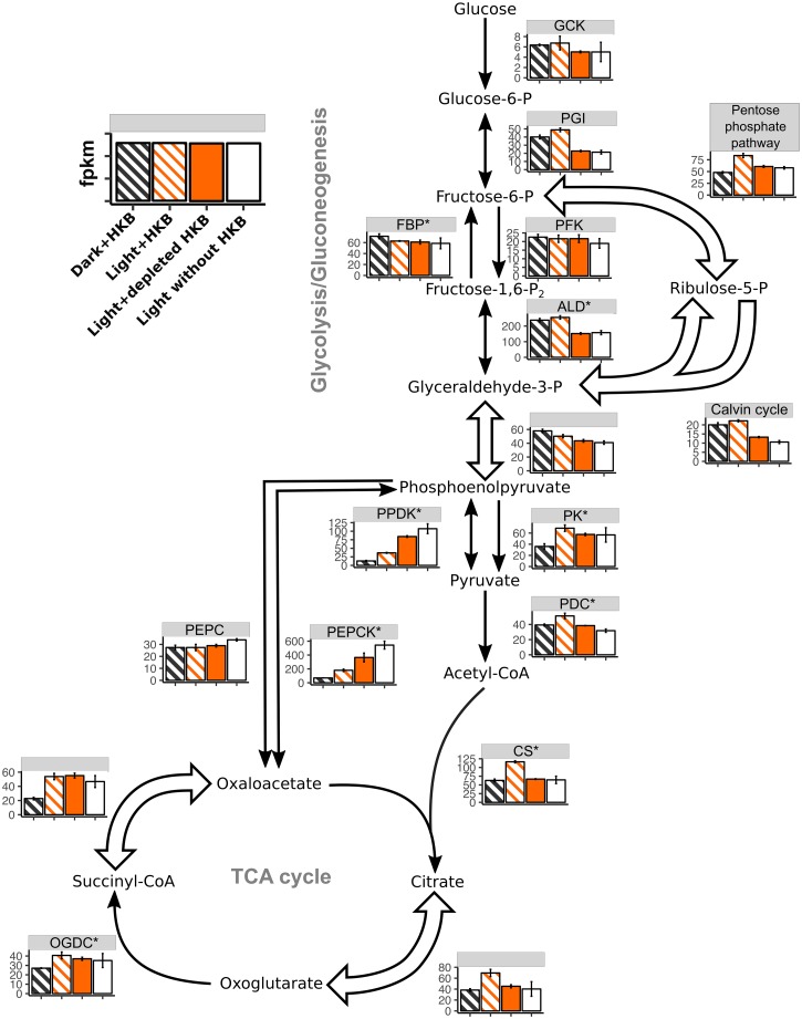 Fig 5