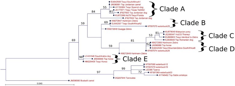 Fig. 1