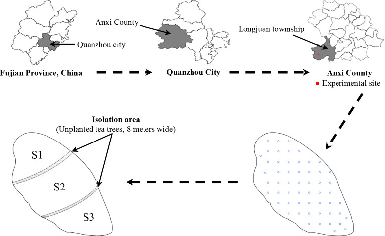 Figure 1