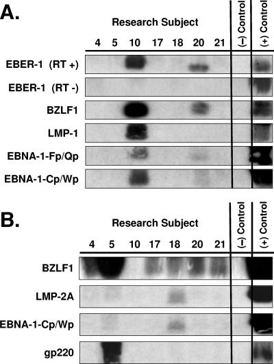 FIG. 5.