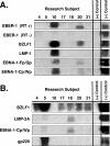 FIG. 5.