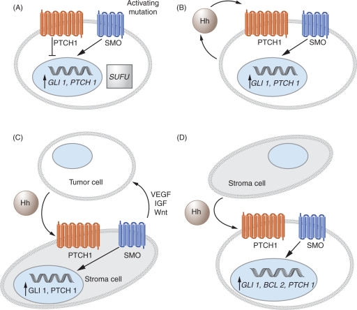 Figure 2.