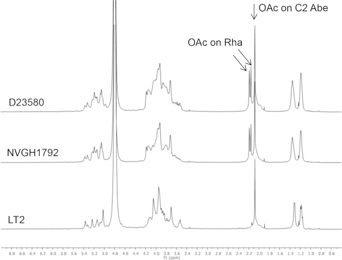 FIG 1