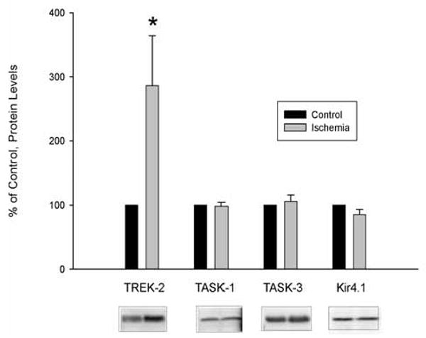 Fig. (3)