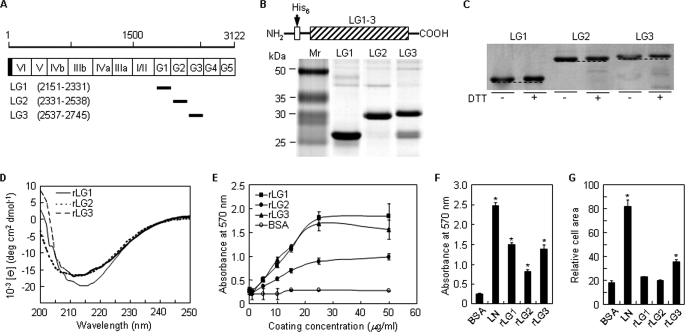 FIGURE 1.