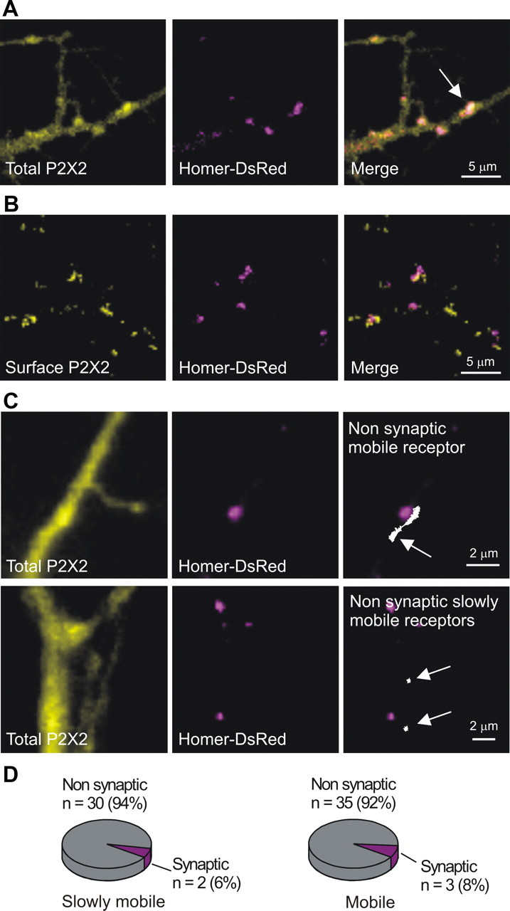 Figure 10.