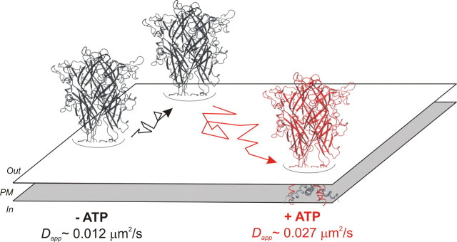 Figure 11.