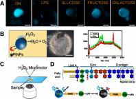 Figure 21