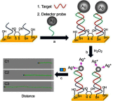 Figure 22