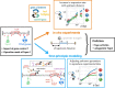 Graphical Abstract