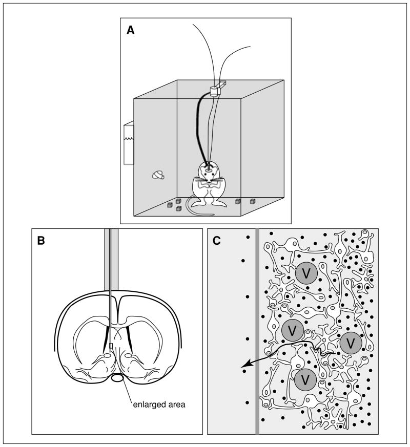 Figure 7.1.1