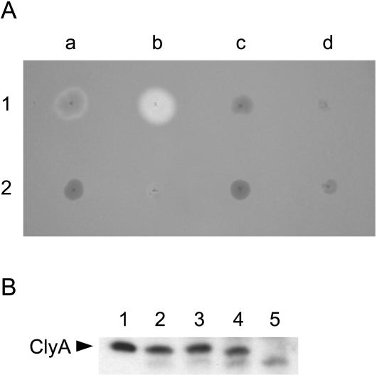 FIG. 5.