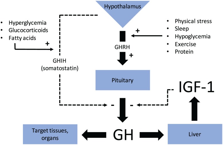 Figure 1.