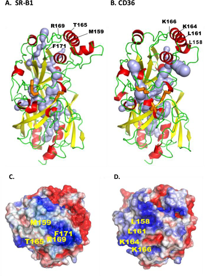 Figure 3.