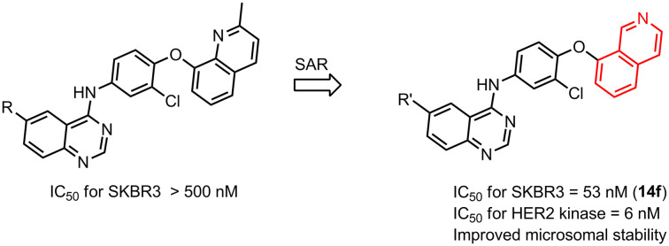 graphic file with name d5md00025d-ga.jpg