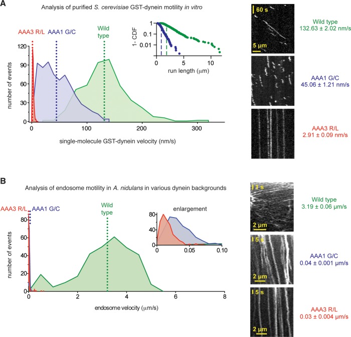 FIGURE 4: