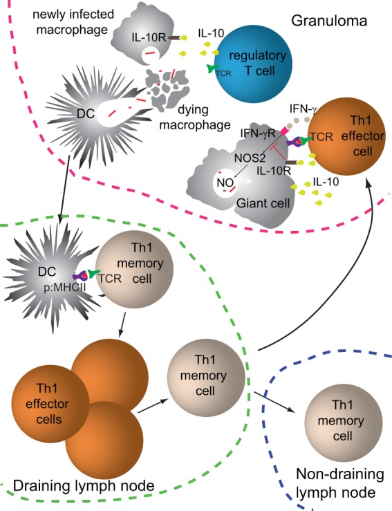 FIG 2