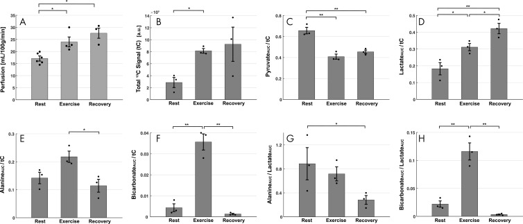 Bar graphs show effect of exercise in hyperpolarized carbon 13 (13C) MR spectroscopy. Data are means ± standard errors. * indicates P < .05, and ** indicates P < .01. A, Spatially averaged perfusion measured with hydrogen 1 (1H) arterial spin labeling from participants at rest (n = 6), during exercise (n = 4), and during recovery (n = 3). B, Total 13C signals (tC) after adjusting difference in polarization and experimental parameters (three participants per group). a.u. = arbitrary units. C–F, Area under the curve (AUC) for, C, [1-13C]-pyruvate, D, [1-13C]-lactate, E, [1-13C]-alanine, and, F, [13C]-bicarbonate, normalized with tC area under the curve. G, H, Area under the curve (AUC) of, G, alanine and, H, bicarbonate, normalized with lactate area under the curve.