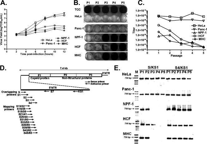 FIG. 1.