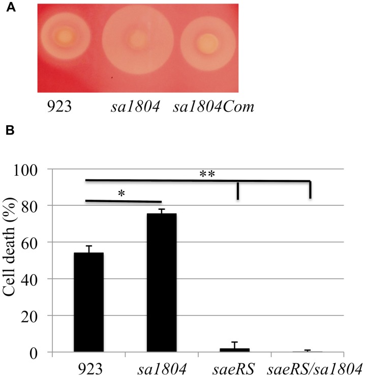 FIGURE 4