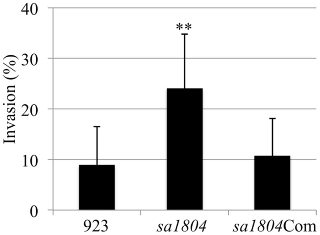 FIGURE 2